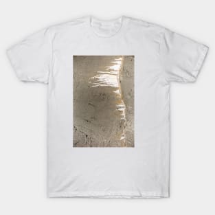 Leaking concrete 21 T-Shirt